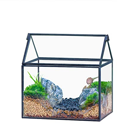 NCYP Schwarzes Kleines Glas Terrarium mit Deckel, 15,5x11x16 cm Handmade Pflanzencontainer, Handgefertigt Hausform, Geometrische Garten Blumentopf (Ohne Pflanzen,Nicht wasserdicht)