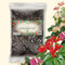 ORAGARDEN Anthurien Erde für Zimmerpflanzen und Garten - 3L Anthurien Substrat für Pflanzen, Palmen, Blumen - 6 Komponenten Blumenerde