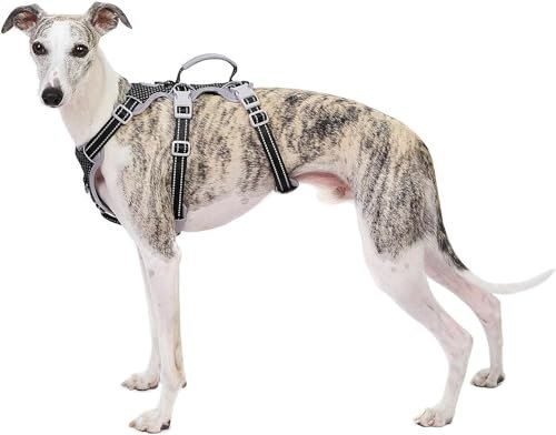 Huntboo Sicherheitsgeschirr Hund Ausbruchsicher, Panikgeschirr für Hunde, Reflektierendes Geschirr mit Gepolstertem Griff, Verstellbare Weste für Kleine Hunde, die Spazieren Gehen (Schwarz,XS)