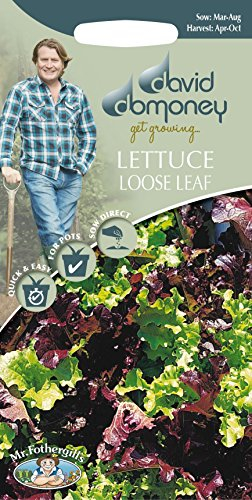 Mr Fothergills - Vegetable - David Domoney Lettuce Loose Leaf Red and Green Mix - 1250 Seeds