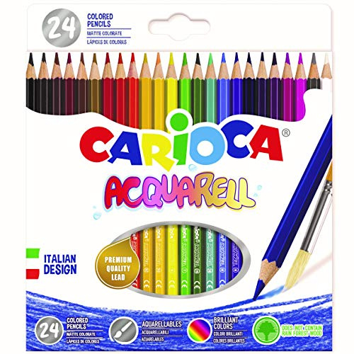 Carioca Universal cf24 pastelli acquarellabili