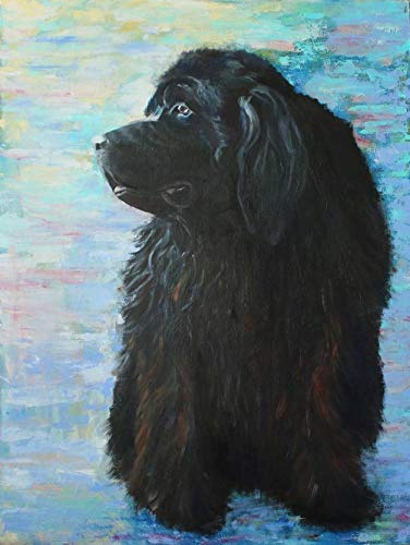 Paint by Numbers kit Newfoundland Dog for Kids Adults Beginner Drawing with Brushes Christmas Decor Decorations Gifts