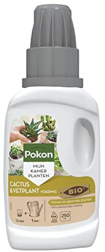 Bio Cactus & Plante grasse Alimentation 250ml