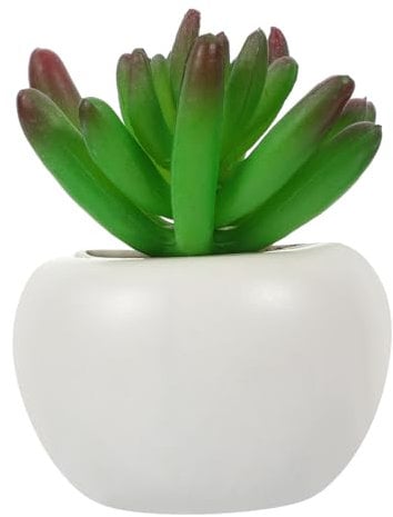 PHENOFICE Green Plant Refrigerator Magnet Fridge Mini Plant Magnets Kitchen Fridge Magnet Mini Plant Fridge Magnets Exquisite Fridge Magnets Bonsai Magnet Mini Plant Magnets for Fridge Pp