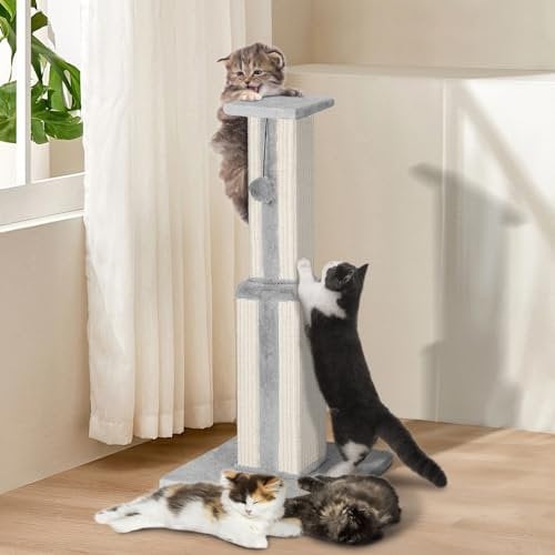 Zvonema Poste Rascador para Gatos, Altura 79 cm, Rascador de Sisal Natural con Base Estable 36.5x36.5 cm y Juguete Colgante, Rascadores para Gatos de Interior, Gris