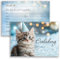 10x Kinder Einladungskarten Einladung Kindergeburtstag Katzen Party Katze Mädchen Jungen Geburtstagsfeier Blau Rosa Silber Geburtstag Einschulung