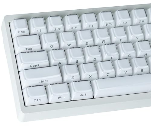 JakeTsai Crystal Jelly Keycaps, PBT Keycap 113 Keys OEM Profile Double Shot White Translucent Side Printed Custom Keycaps for Cherry MX Switch ASIN/ISO Layout Mechanical Keyboard