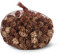 Abbott Collection 27 SM kleine Tannenzapfen mit Glitzer
