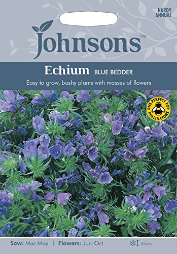 Johnsons 23150 Flower Seeds, ECHIUM Blue Bedder