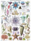 Vintage-Poster Quallen & Aquatic Invertebrates – Meeresleben Identification Referenztabelle (laminiert, 45,7 x 61 cm)