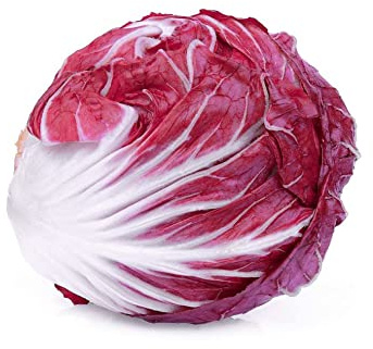 250 Red Leaf Chicory Seeds - Pottery Salad - Peasant Seeds