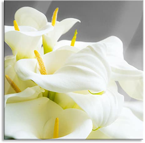 Pixxprint Glasbild, Wandbild auf Echtglas, Wunderschöne weiße Calla Lilien, 80x80 cm, inkl. Aufhängung und Abstandshalter
