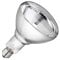 Orvarto Infrared Heat Lamp Bulb, Clear 250w. for Infra Red Heat Lamps for Poultry, Chicks, Dogs, Puppies, Cats, Kittens, Pigs, Reptiles and Catering.