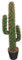 OFFSCH Cactus Artificiale Simulato Decorazione Vibrante Per Casa Ufficio Balcone