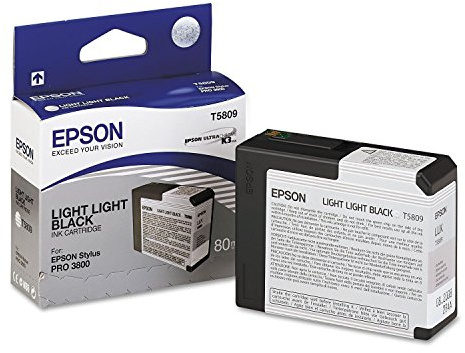 Epson EPST580900 - T580900 UltraChrome K3 Ink