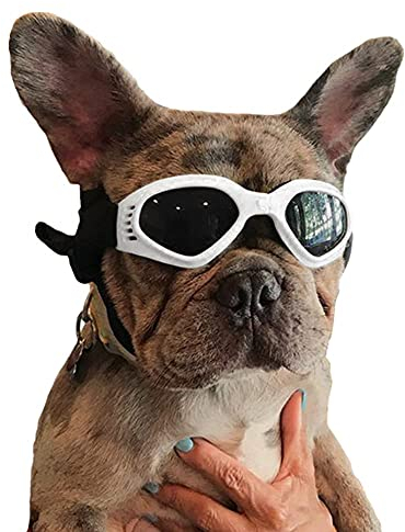 Homesupplier Hundesonnenbrille für kleine und mittelgroße Haustiere Hunde Brille Welpen Augenschutz Winddicht UV-Schutz Tierärzte empfohlen Augenschutz, PVC, weiß, Einheitsgröße