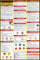 Poster How to Read A Safety Data Sheet (SDS/MSDS) | Englisch & Spanisch 2021 61 x 91 cm UV-beschichtetes Papierschild OSHA, HMIS, Hazard Compliance Center Display Anleitung Chemical Labels (Englisch)