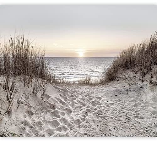 murando Fototapete selbstklebend Meer Strand 343x256cm Foto Tapete Tapetenfolie Möbelfolie Wandverkleidung Wandtapete Motivtapeten Bildtapete Wohnzimmer 3d Effekt Weg Natur Landschaft Sonnenuntergang