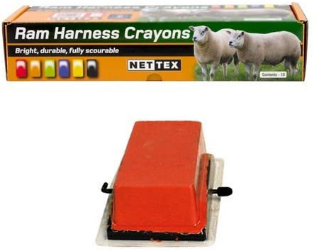 Nettex All Weather Sheep Marking Crayons - 10 Pack (Orange)