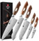 XINZUO Küchenmesser Set 5er 110 Schichten Damaststahl Profi Kochmesser Set, Damaskus Chefmesser Set Handgeschmiedet, Nordamerika Desert Ironwood Griff, Für Fleisch, Gemüse, Obst, Brot