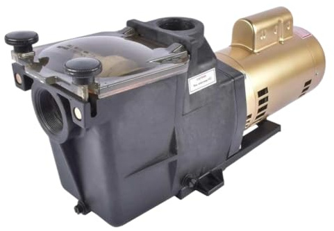 Motore Pompa Piscina 2 115/230 V Singola Velocità W3SP2615X20 Compatibile con Piscina Interrata e Spa Hayward SP2615X20