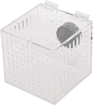 EVTSCAN Fischzuchtbox - Acrylfisch-Isolationsbox Aquarium Hatchery Inkubator mit Saugnäpfen für Babyfische Shrimp Guppy
