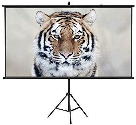 BGFYUSF Projector Screen, Projection Screen Projector Screen Mobile with Stand Legs Fast Assembly Design for School Office Classroom Living Room 60 Inch 4:3
