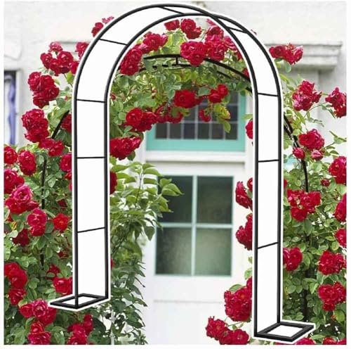 WCQSYY Arco De Jardin para Plantas Arco De Hierro Forjado para Plantas Trepadoras Arco De Rosales para Plantas Trepadoras,Blanca,W3.5M*H2.2M