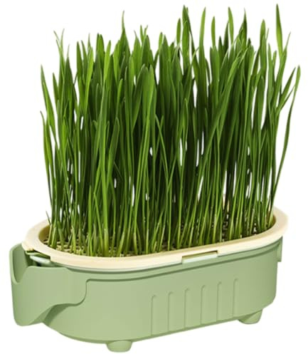 Generisch Hydroponische Innenkatze Grasschale - 6,46x3,46x2,01 Zoll | Katzenpflanzentopf - Hydroponische Plantage Innengras | Hohlwasserkontakt ohne Erde für Pouplate -Snacks