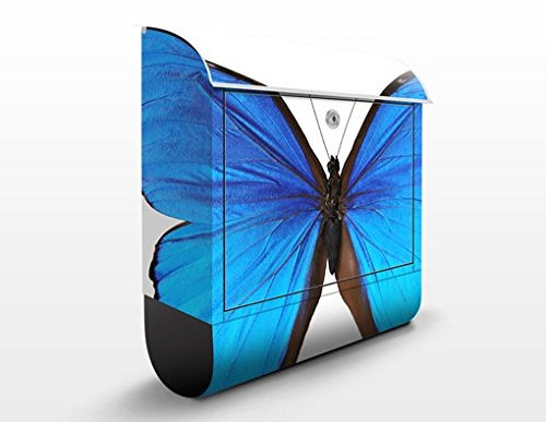 Briefkasten mit Zeitungsrolle Blauer Morphofalter 46cm x 39cm