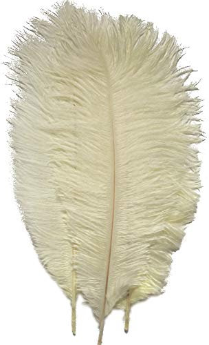 Sowder 20pcs Natural 10-12inch(25-30cm) Ostrich Feathers Plume for Wedding Centerpieces Home Decoration(Ivory)