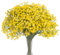N&T NIETING Gypsophila Lot de 10 Fleurs artificielles gypsophile Bouquets de Fleurs artificielles pour Mariage, fête de mariée, décoration d'intérieur (Jaune)