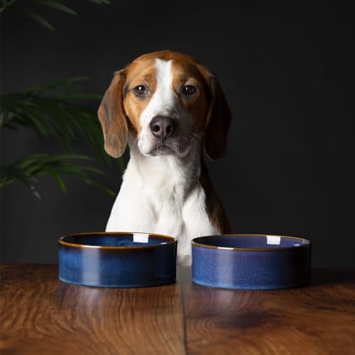 Scruffs Ceramic Heavy Duty Reactive Glaze Pet Bowls - 2pc Set - 15cm