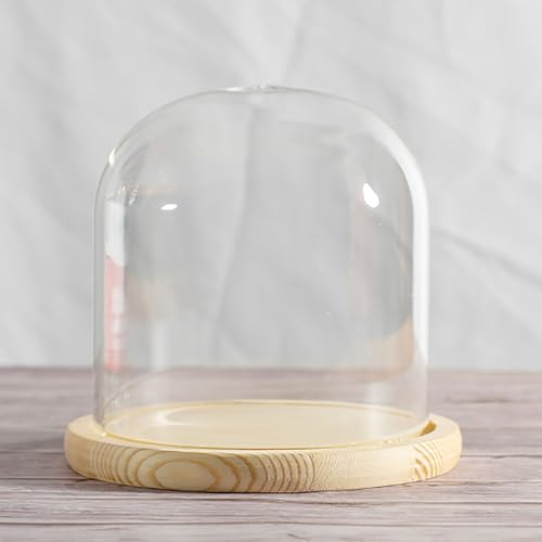 COYOUCO Présentoir en Verre Cloche dôme avec Base en Bois Massif pour Exposer des Plantes, des Ornements, des Figurines, Un diamètre de 20 cm20/25/30 cm,Dia20*H20cm