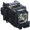NEC NP06LP lampada 330 W lampada per proiettore (330 Watt, 2000 a, 3000 a)