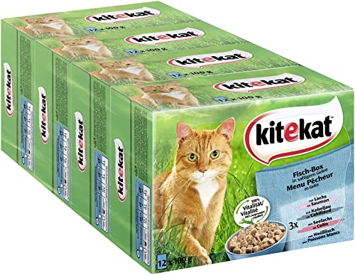 Kitekat Katzenfutter Nassfutter Fisch Box in Gelee, 48 Portionsbeutel (4 x 12 x 85g)