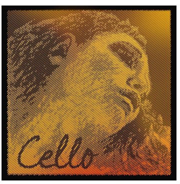 EVAH PIRAZZI GOLD Cellosaite G von Pirastro