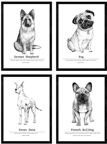 Nacnic Packung dePerros dekorative Poster descripcion.Láminas Hunderasse. A4-Format