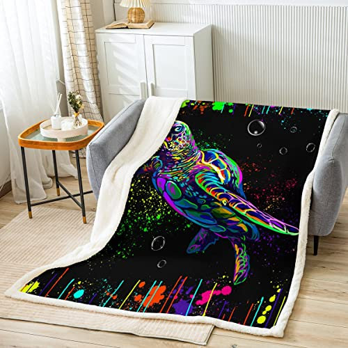 Loussiesd Graffti Turtle Sherpa Blanket Ocean Reptile Tortoise Fleece Throw Blanket for Kids Colorful Sea Turtle Plush Blanket Ocean Themed Fuzzy Blanket Single 50x60 Inch