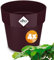 Gardebruk® 4X Pot de Fleurs b.for Original Mûre 35x32 cm Rond Cache-Pot Pot de Fleurs Pot de Plantes Plastique Balcon