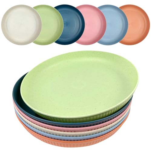Lovesmile Assiette plastique Rigide,6 Pièces 8.85in Assiettes Plastique Reutilisable,Assiette en Plastique, Assiettes à Salade, Bols à Pâtes, Assiettes Faciles à Transporter Pour Pique-nique, Camping