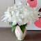 4 pcs lilien zwiebeln- pflanztöpfe pflanzen garten echte pflanzen pflanzen für draußen blumenzwiebeln mehrjährig winterhart hochbeete für garten blumen garten blumenzwiebeln deko
