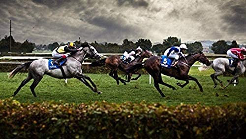 KESIMO Puzzle 1000 Piece Puzzles For Adults Sports/Horse Racing Papery Puzzle Leisure Toy Educational Intellectual Decompressing Game Home Decoration Art Gift 38 * 26cm