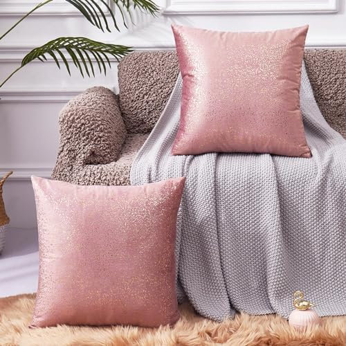 EUCIOR Rose Gold Pillow Cover, Decor Soft Velvet Hidden Zipper Closure Accent Pink Velvet Pillow Cover 18x18, Set of 2 Throw Pillows for Couch/Bedroom