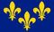 Fahne / Flagge Frankreich - Fleur de Lis 90 x 150 cm