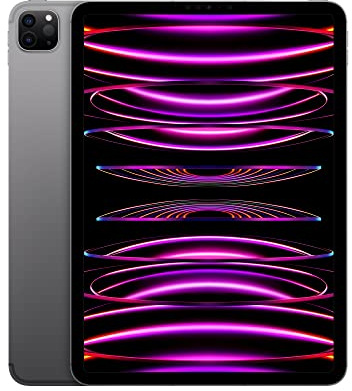 Apple 2022 11 iPad Pro (Wi-FI + Cellular, 1 TB) - Space Grau (4. Generation) (Reconditionné)