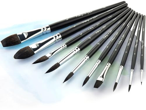 COOZEE 10 Stück Eichhörnchenhaar Künstlerpinsel Set, Professionelles Aquarellpinsel Set mit kurzen Griffen – Rund-, Flach-, Dolch- und Ovalpinsel für Aquarell- und Gouachemalerei