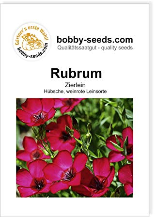 Blumensamen Rubrum Lein Portion