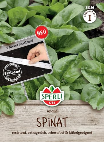 Sperli Spinatsamen Apollo F1, Saatband 83156 - resistente Sorte - ertragreich - schossfest - Kübelgeeignet - Samen Gemüse, Saatband, Gemüse Pflanzen