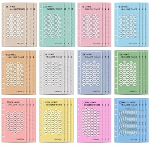 48 Stück A6 Sparchallenge Budgetplaner, 12-Stile Budget Planner Zubehör, Spar Challenge Set mit 1€ | 2€ | 5€ | 10€ | 15€ | 20€ | 25€ | 30€ | 30 Tage | 26 Wochen | 52 Wochen | 100 Tage
